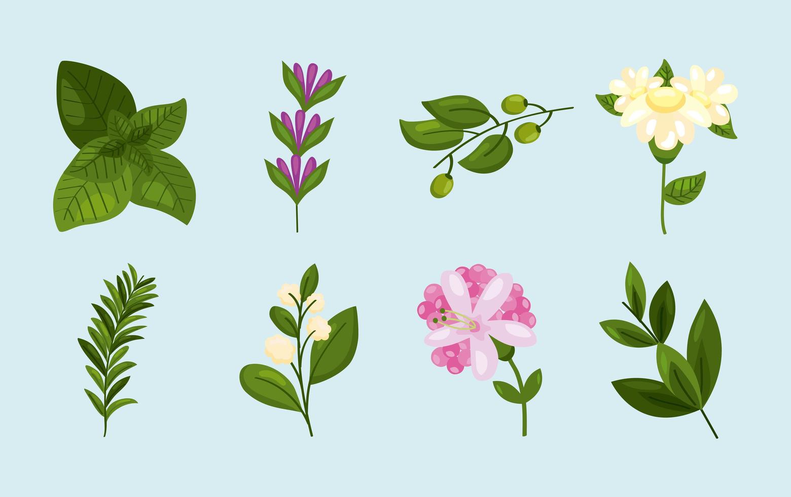 eight spring nature icons vector