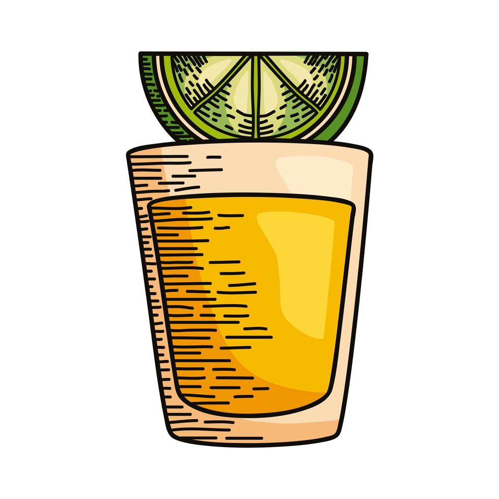 tequila and lemon vector
