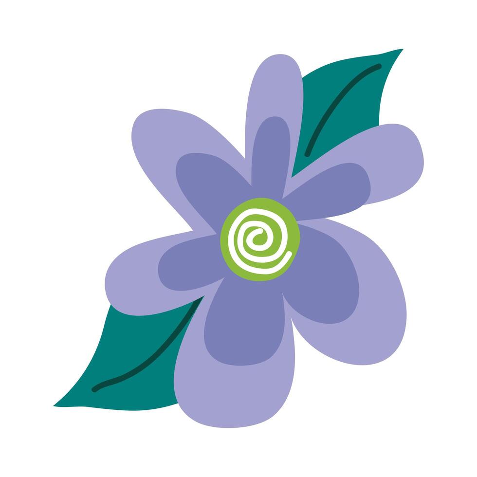 lilac flower and leafs vector