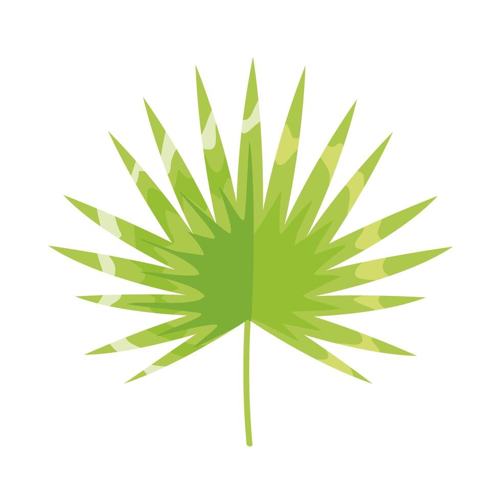 tropical leaf green vector