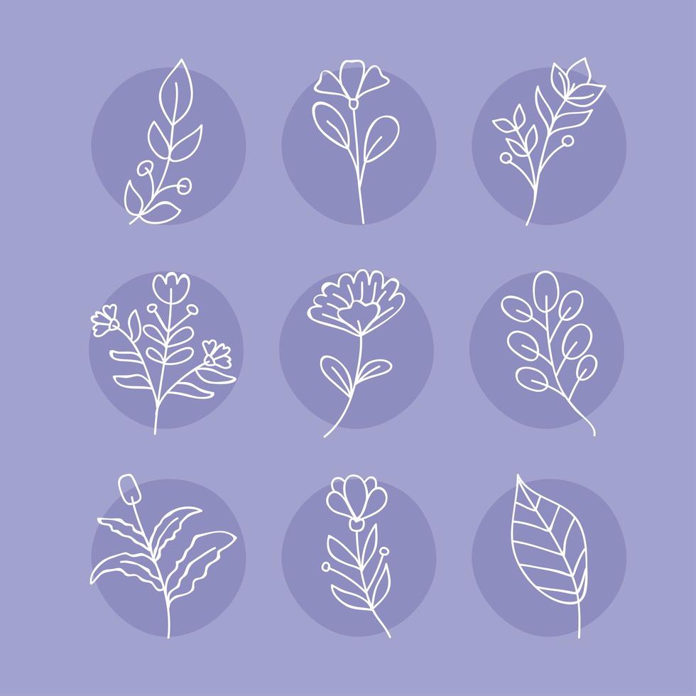 nine floral drawns icons vector