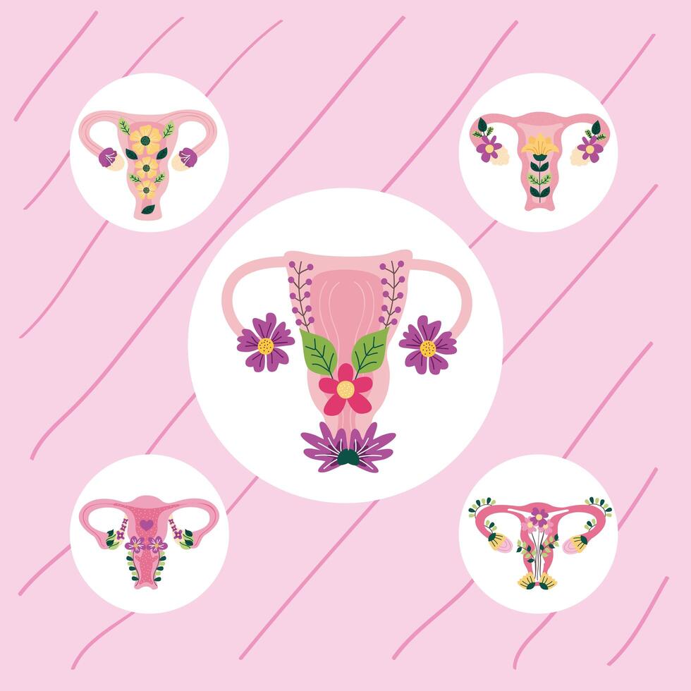 five uterus with flowers vector