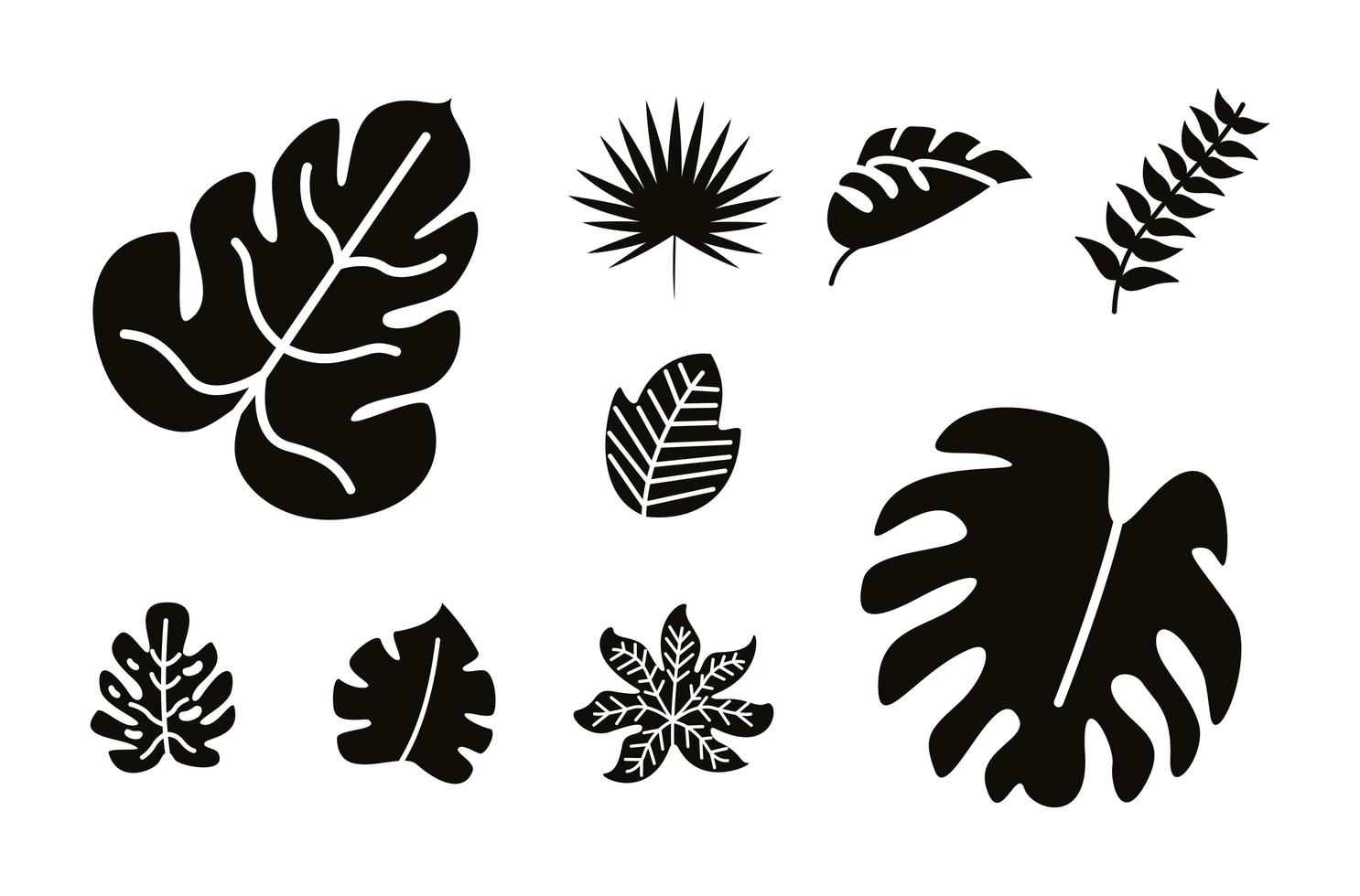 nine black botanical leafs vector