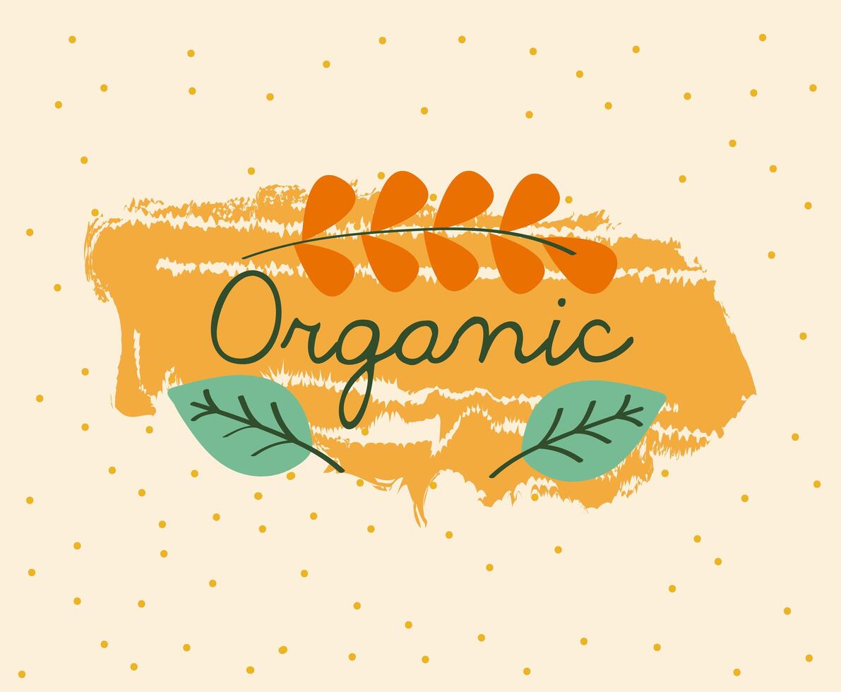 organic product poster vector