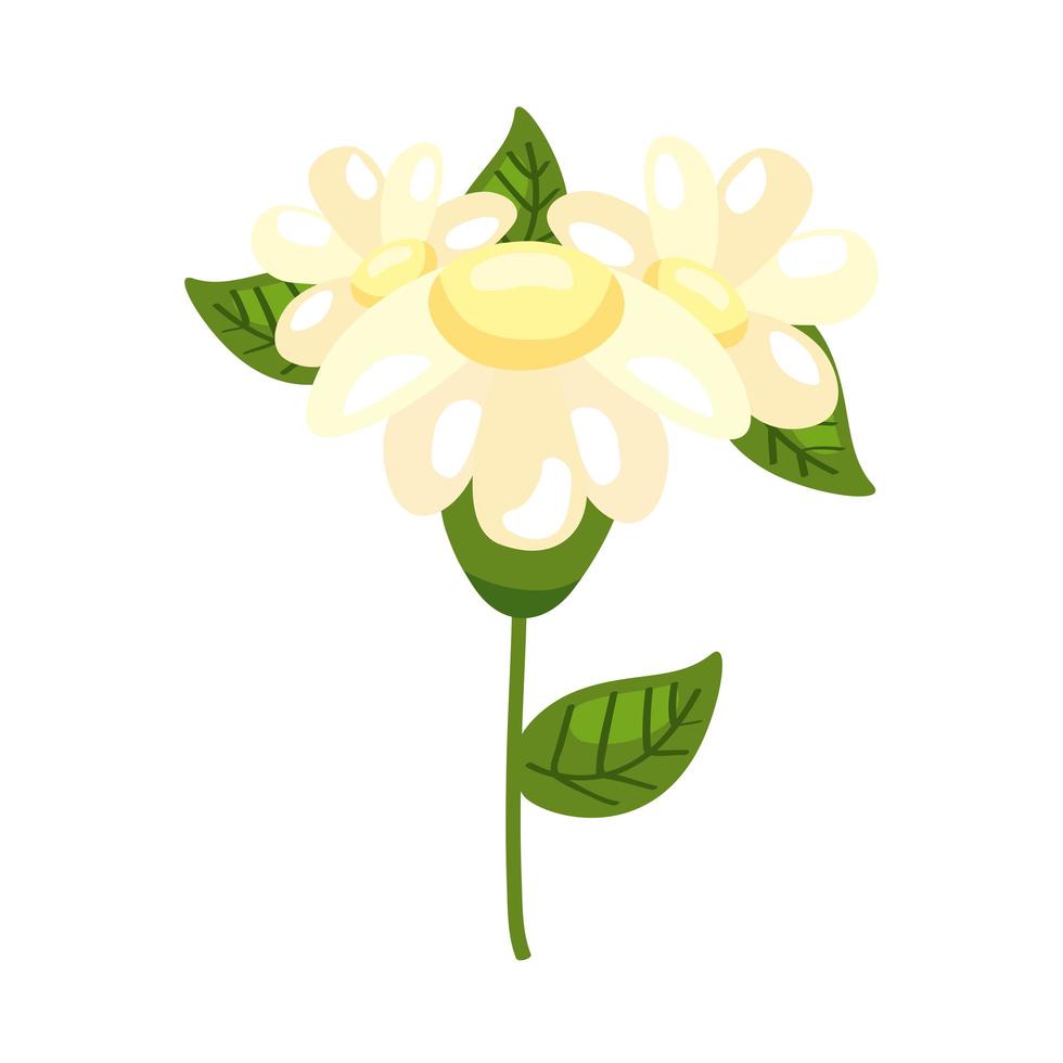 flowers and leafs vector