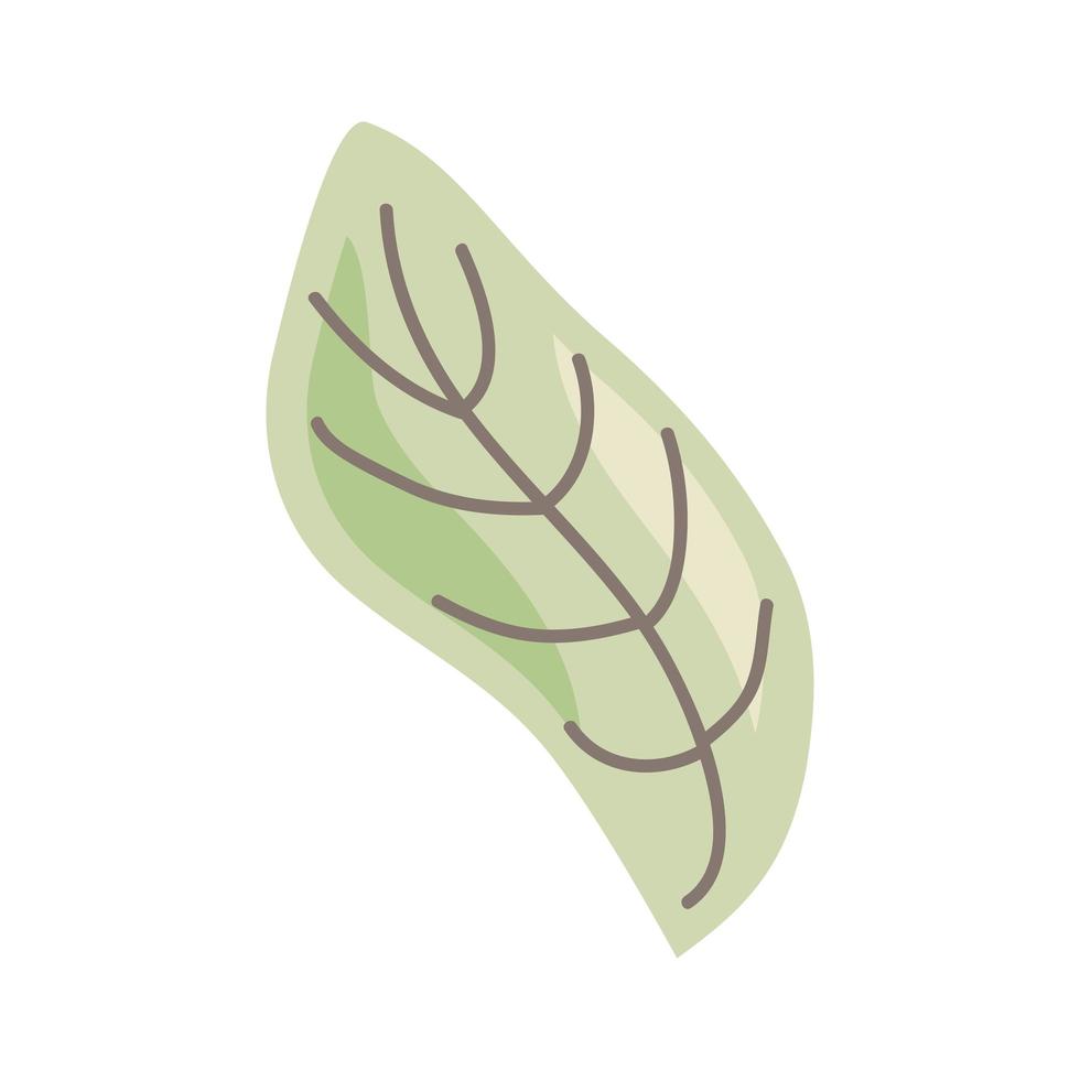 planta de hoja verde vector