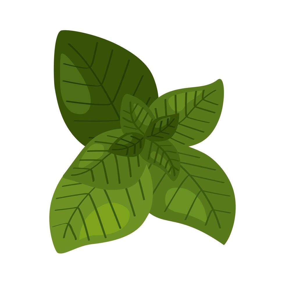 leafs ecology plant vector