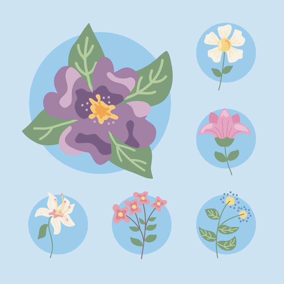 six flowers garden vector