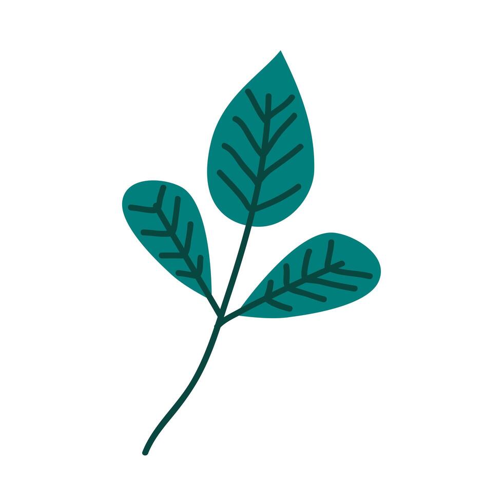 green leaves branch vector