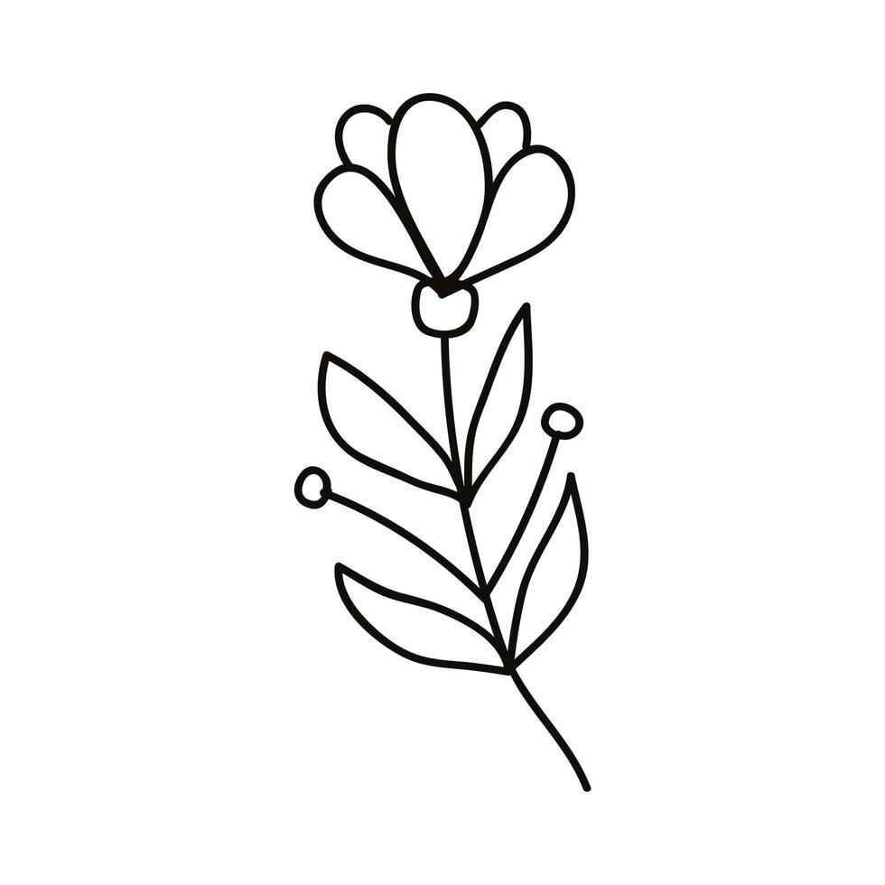 leafs and flowers drawn vector