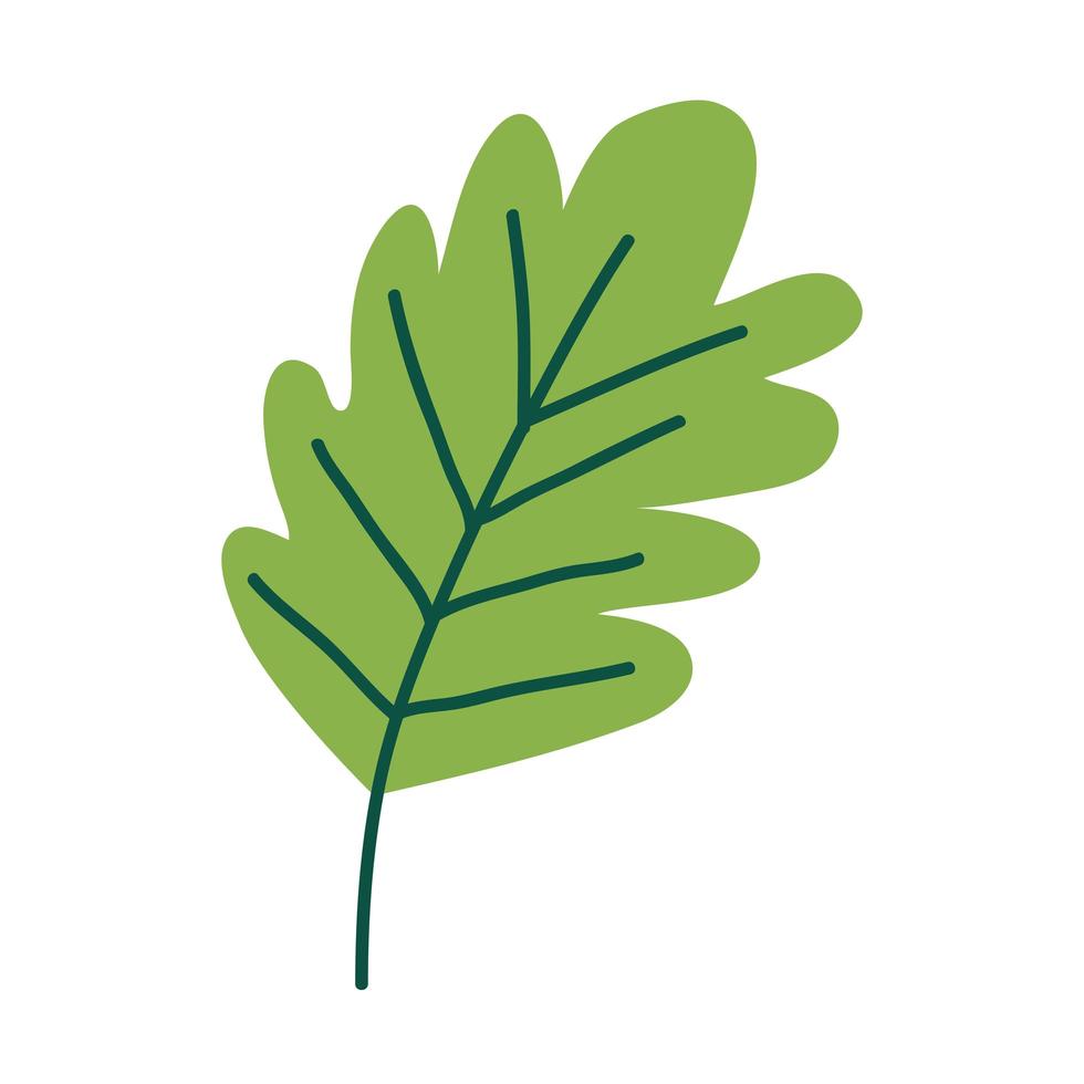 green leave plant vector