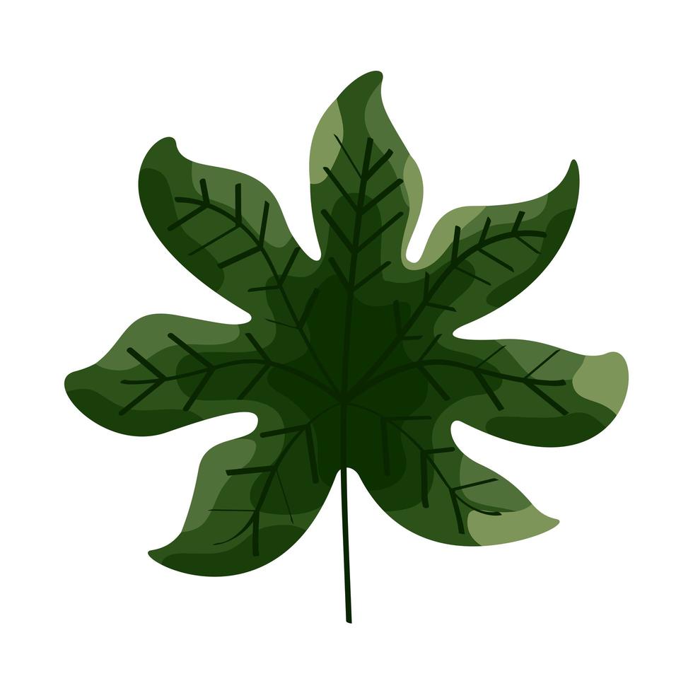green tropical leaf vector