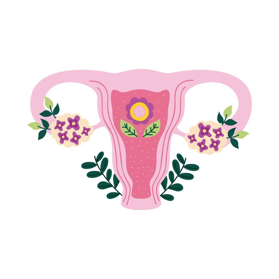vagina and leafs vector