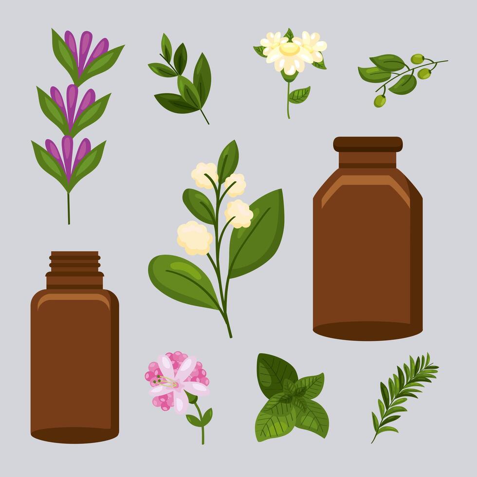 ten essentials oils vector