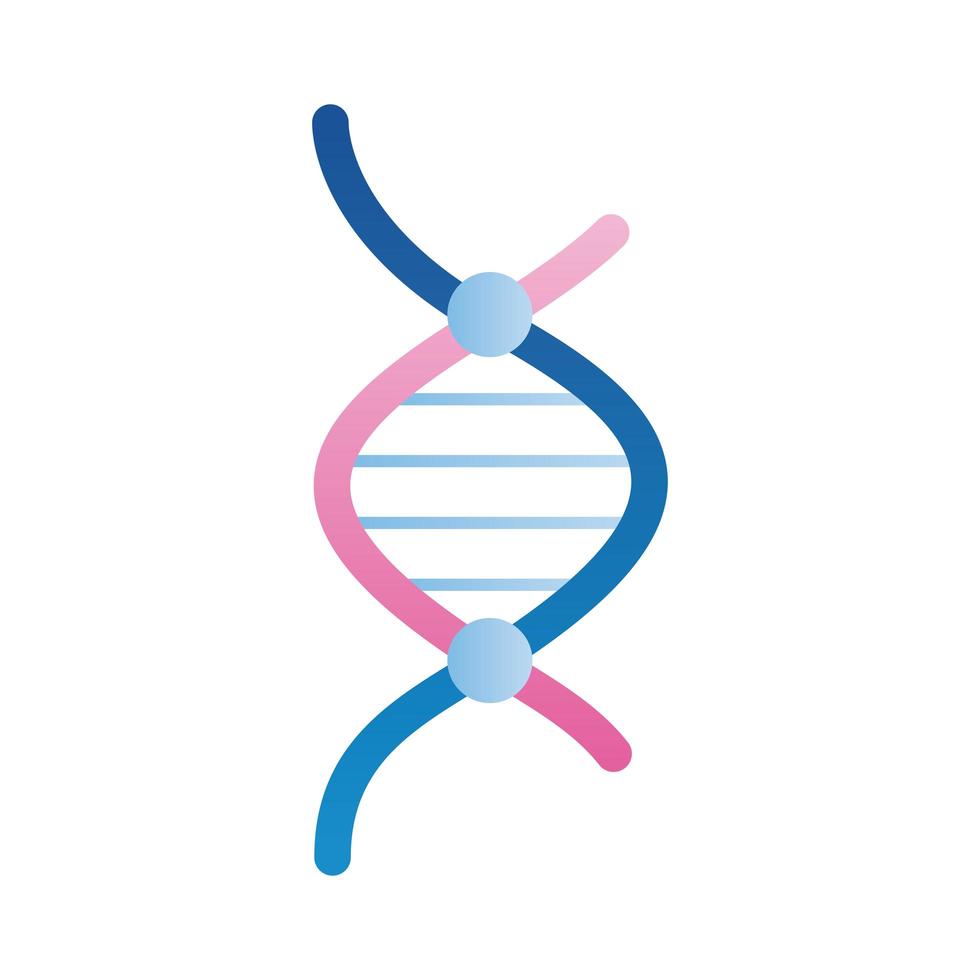 pink and blue dna vector