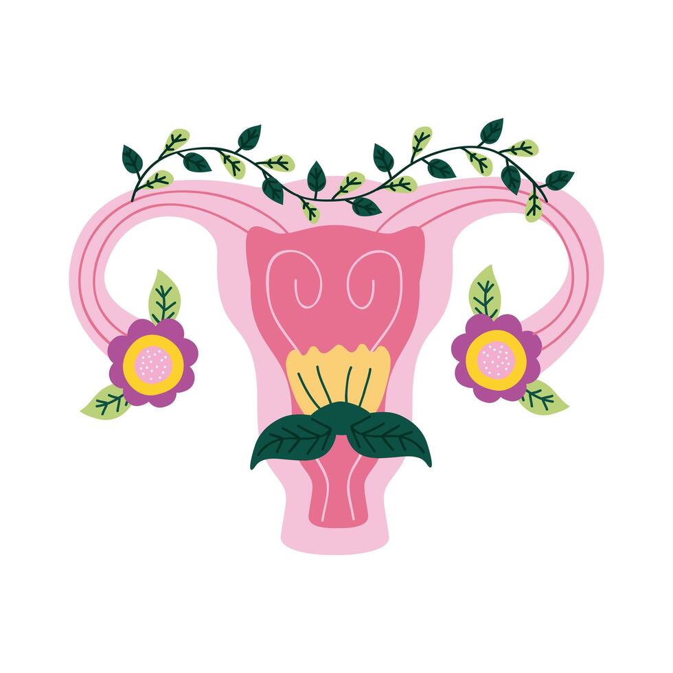 uterus with leafs vector