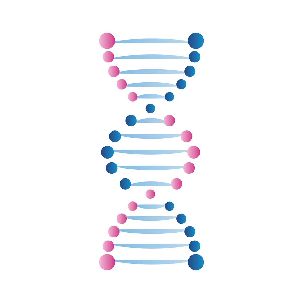 blue and pink dna vector