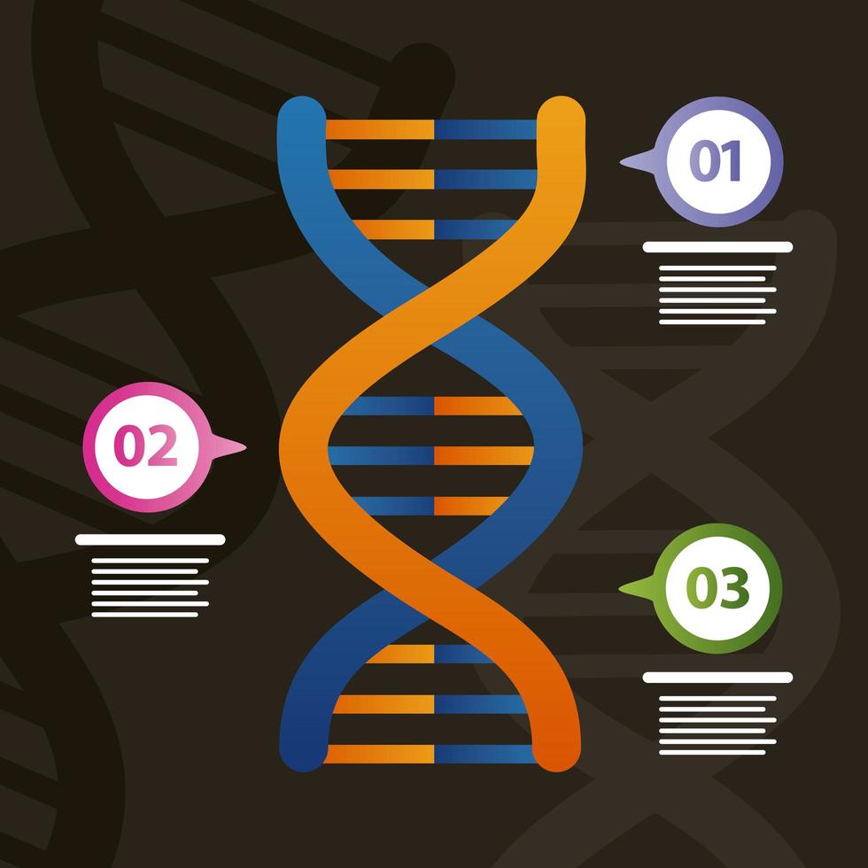 infografía genética de adn vector