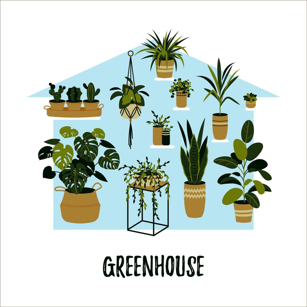 Potted plants growing in a greenhouse. Home garden concept. Vector illustration in a flat style