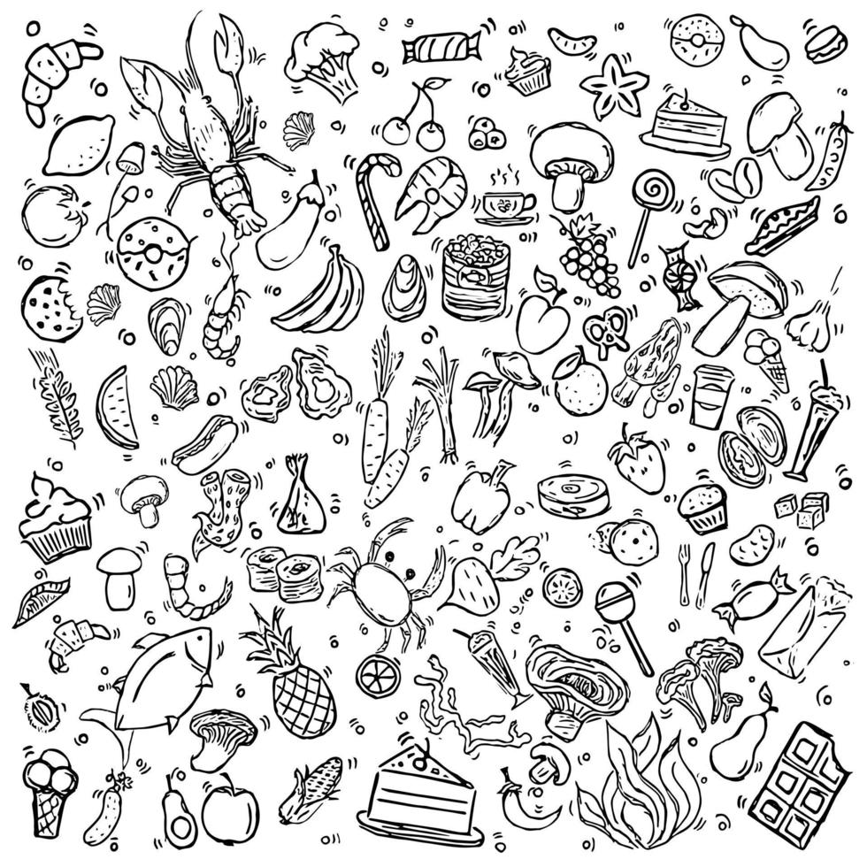 Set of icons on the theme of food. Food vector. Doodle vector with food icons on white background.