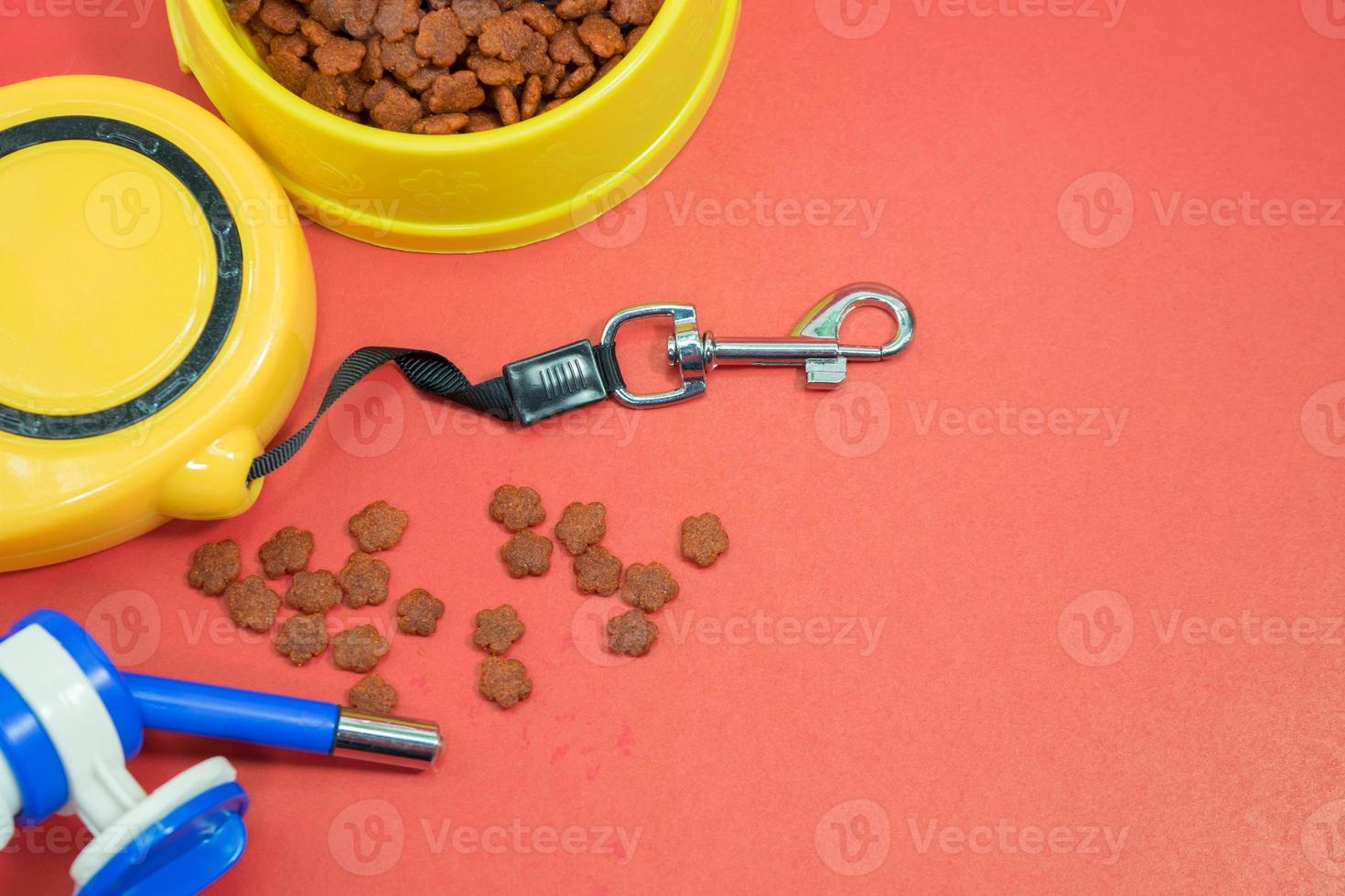 Pet accessories concept. Bowls with food, automatic leash, rope and bottle of water for dog photo
