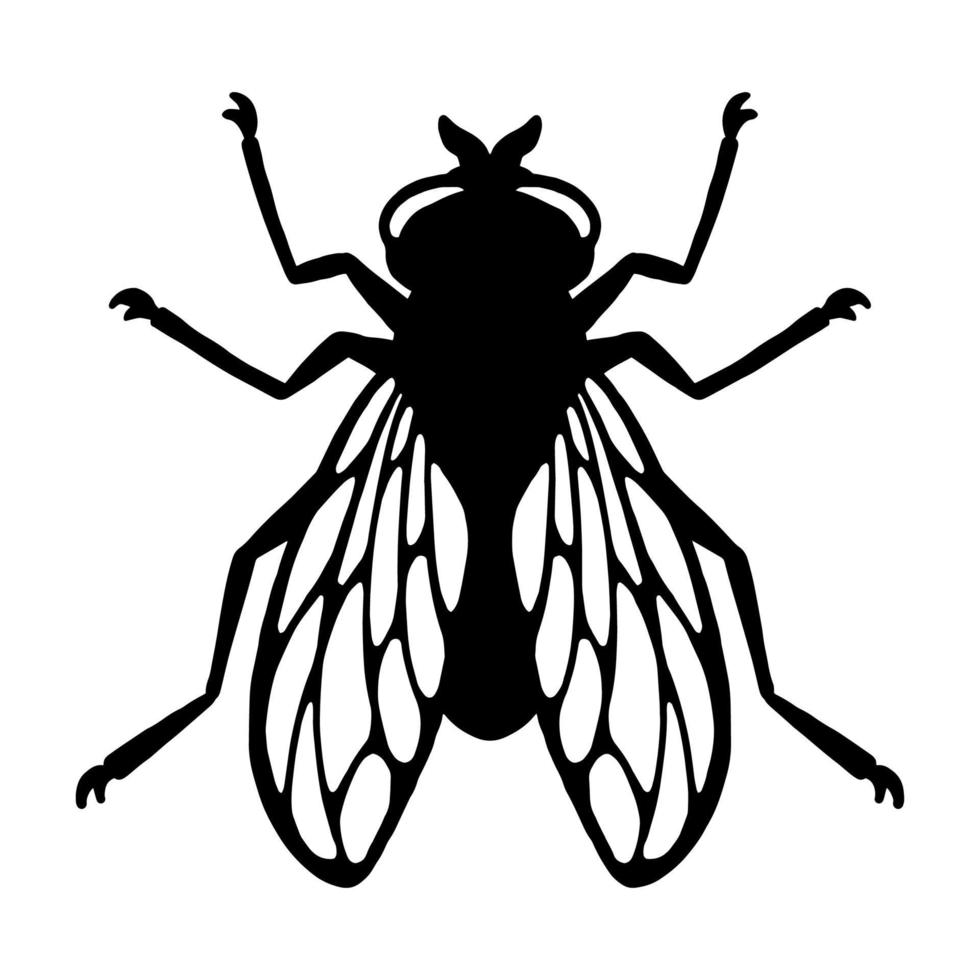 Fly insect. Black silhouette. Design element. Vector illustration isolated on white background. Template for repellent.
