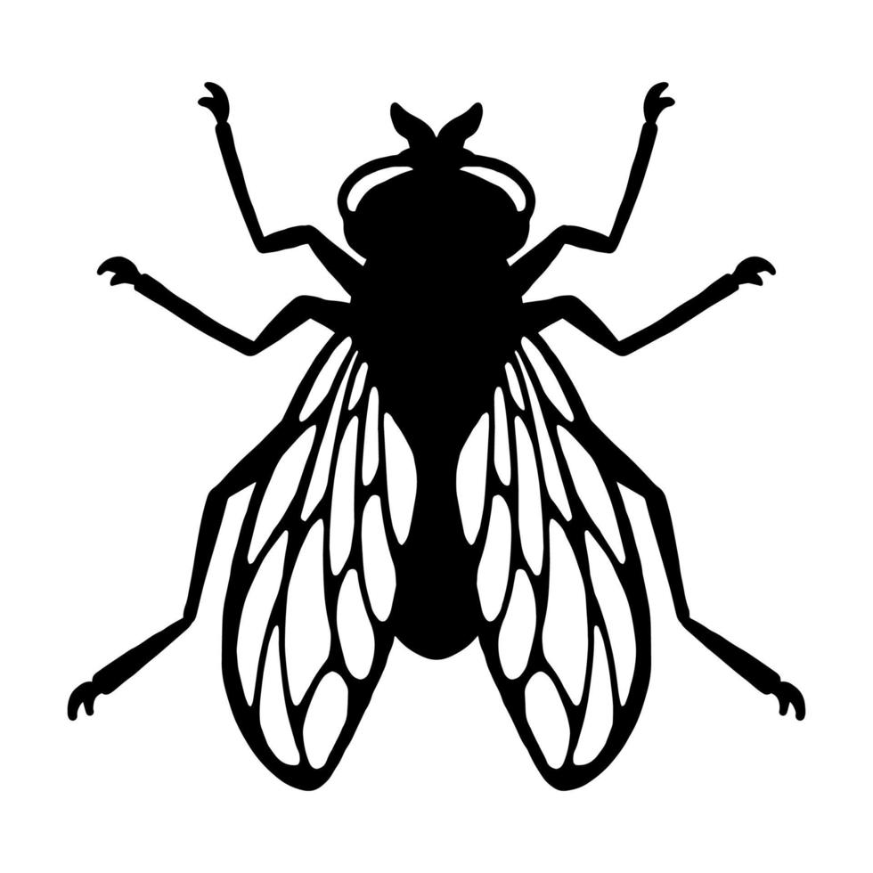 Fly insect. Black silhouette. Design element. Vector illustration isolated on white background. Template for repellent.