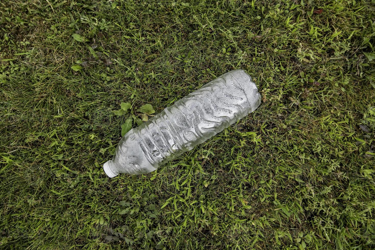 botella de agua en la hierba foto