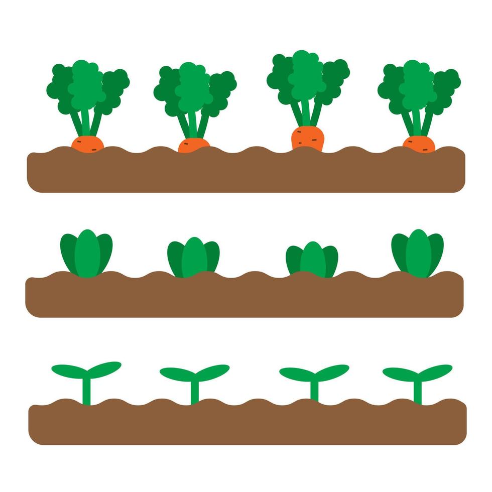 juego de 3 canteros de jardín con diferentes hortalizas y plantas en crecimiento. Ilustración de jardín de primavera plana. iconos de jardinería. ilustración vectorial en estilo plano de dibujos animados. concepto de agricultura urbana y agricultura vector