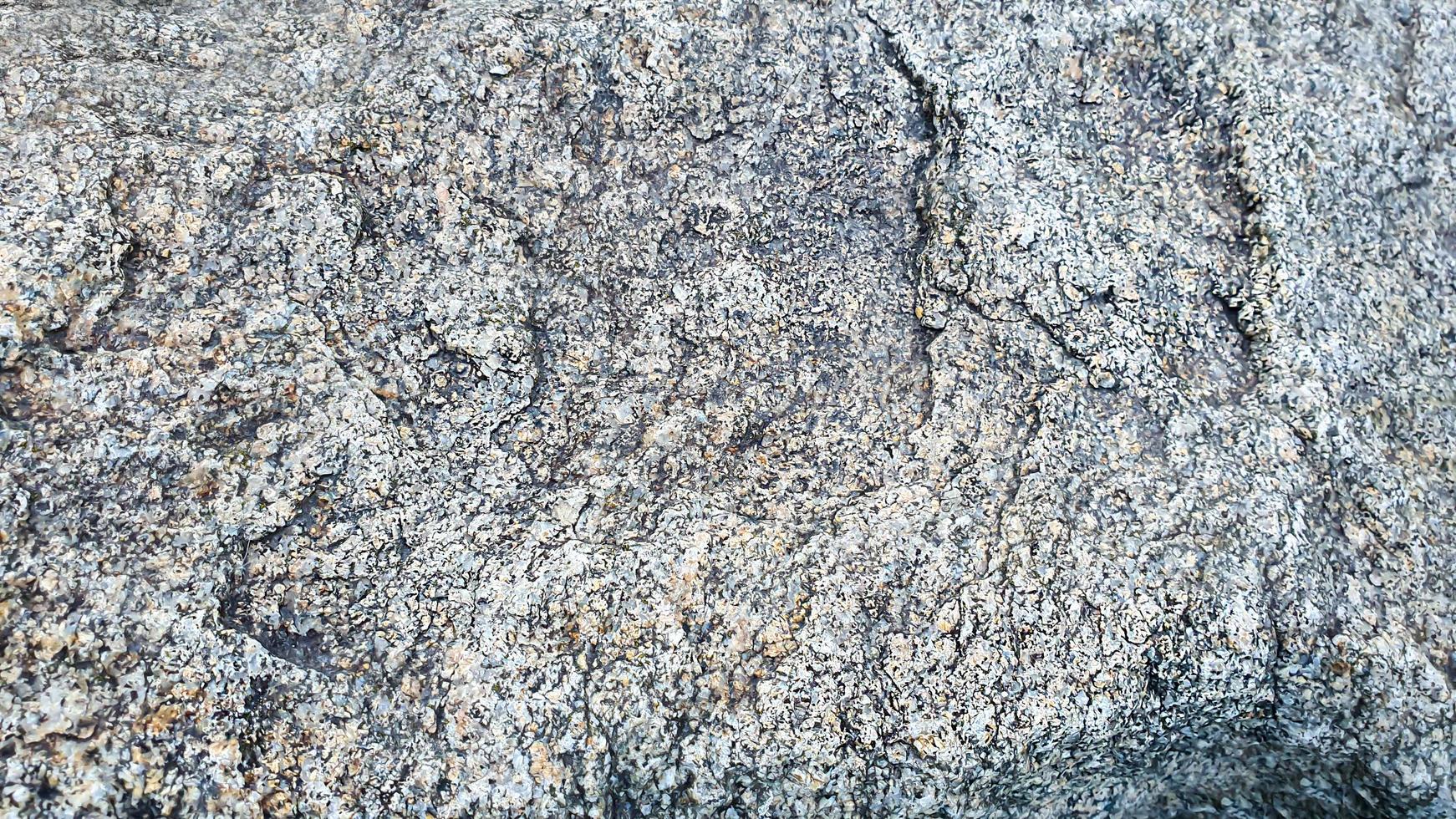 Fondo de piedra con ramas de plantas. ramas con hojas verdes. montículo de granito. foto