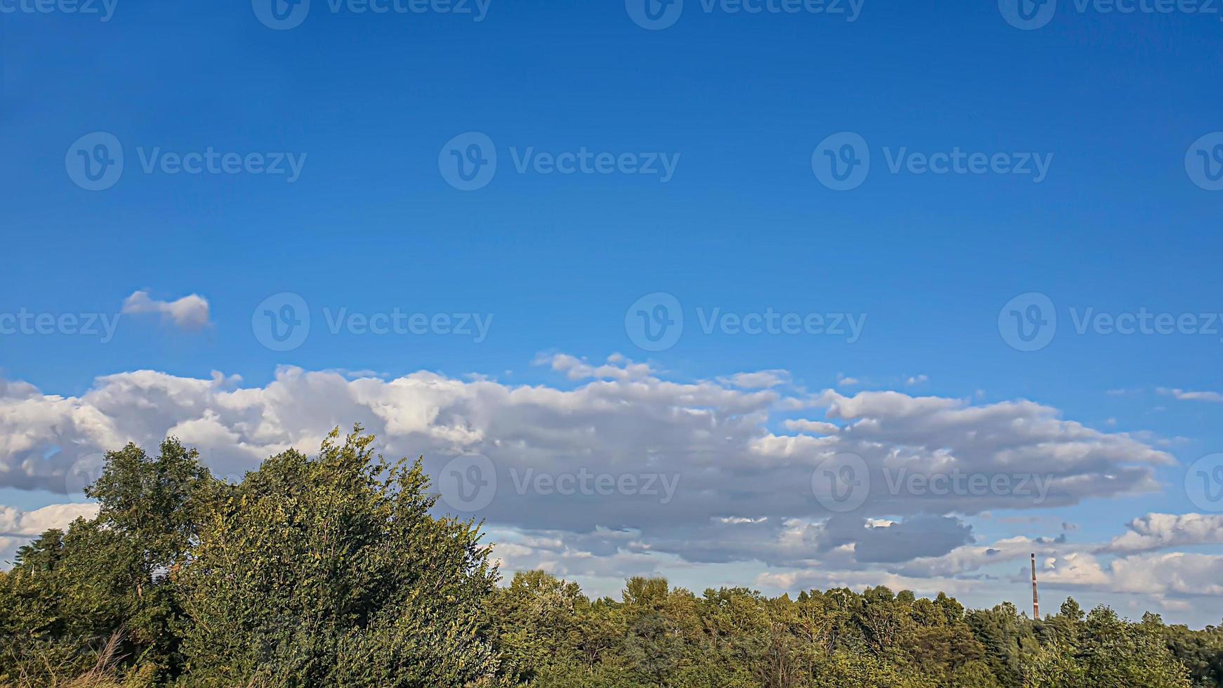 Blue sky with clouds, flying birds and green branches. Summer nature. Road. photo