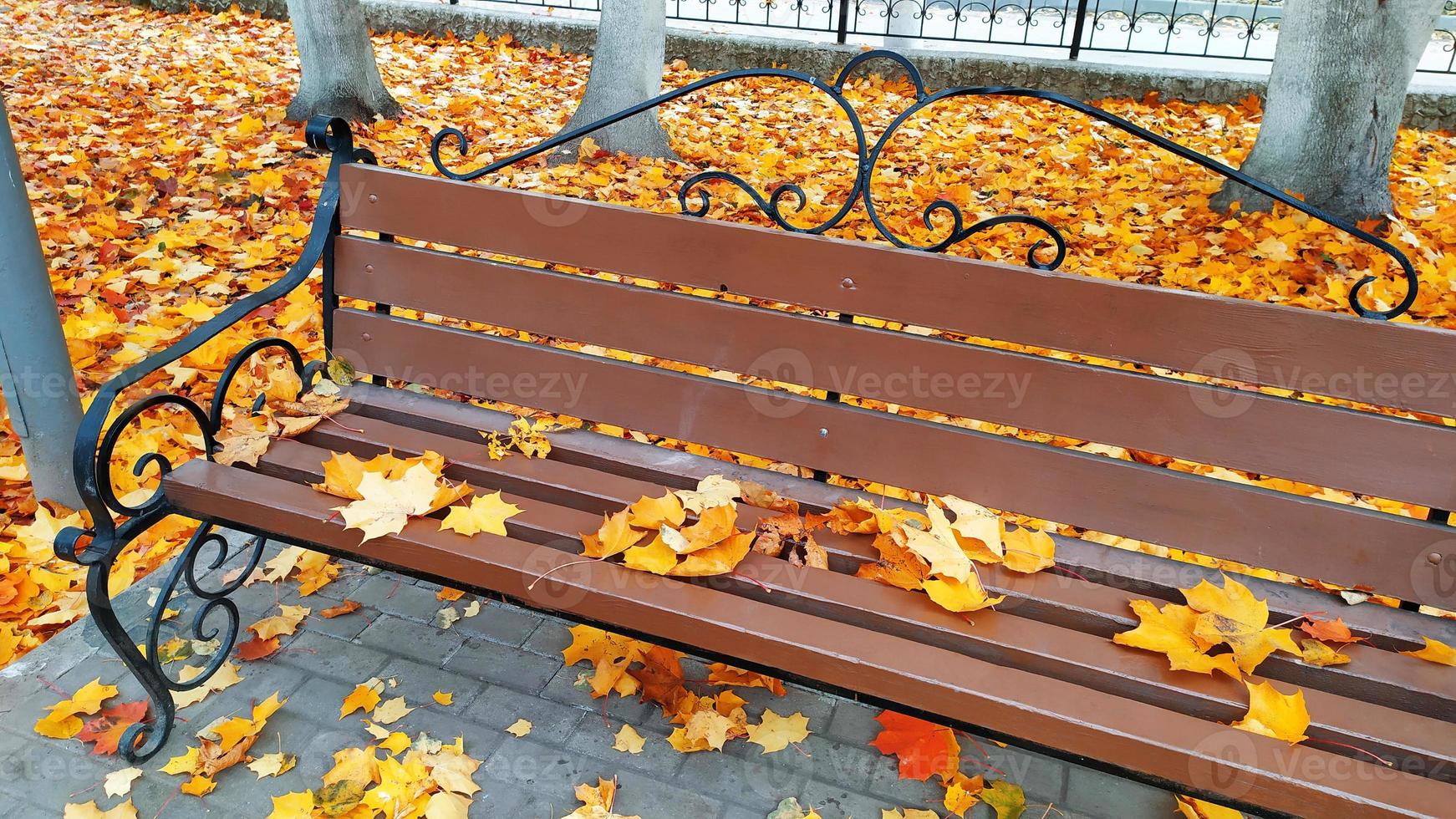 banco en un parque de la ciudad en otoño. hojas amarillas caídas. otoño brillante. escena de otoño. verano indio. foto