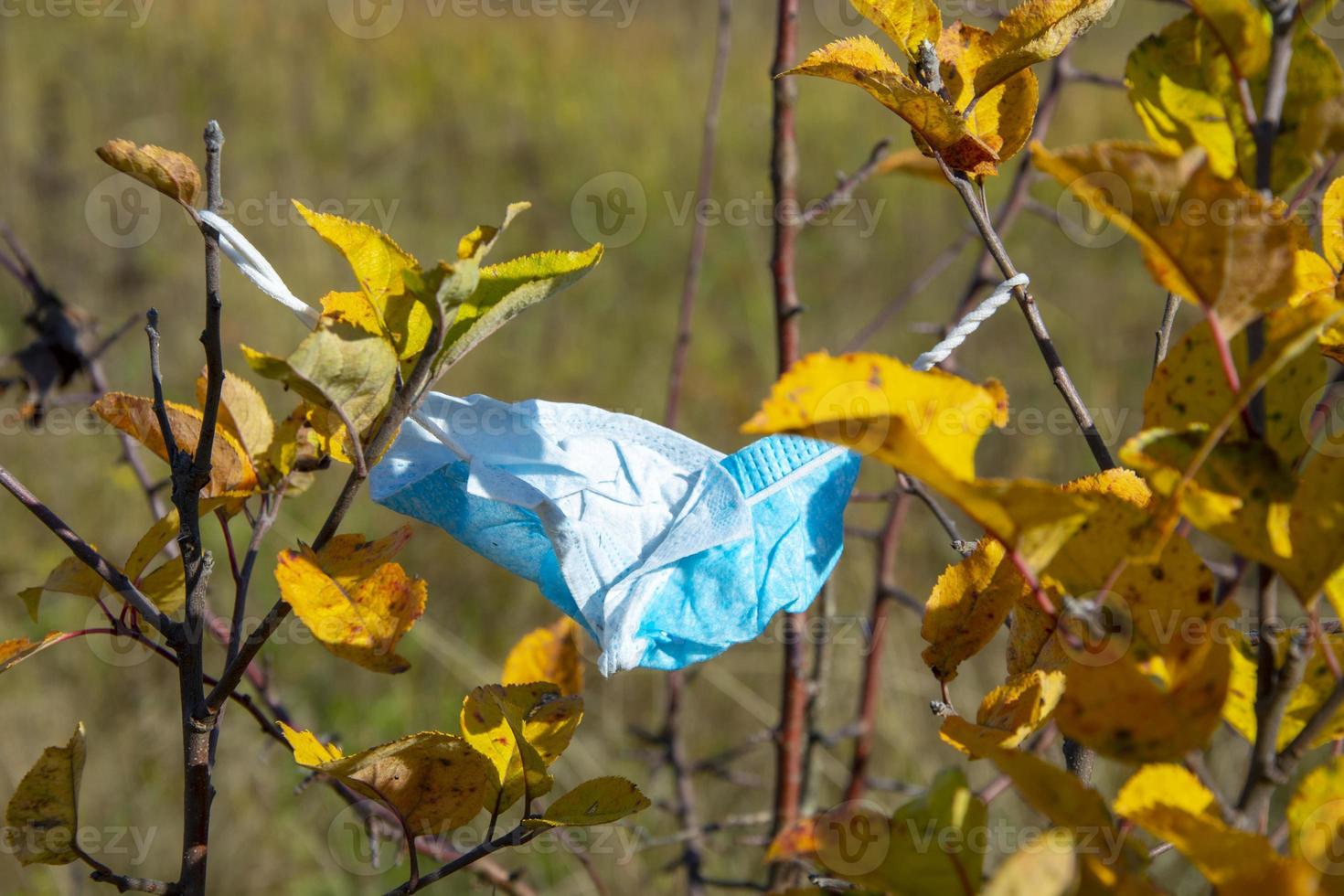 una mascarilla médica cuelga de las ramas de un árbol en otoño. tiraron la máscara. el fin del coronavirus. foto