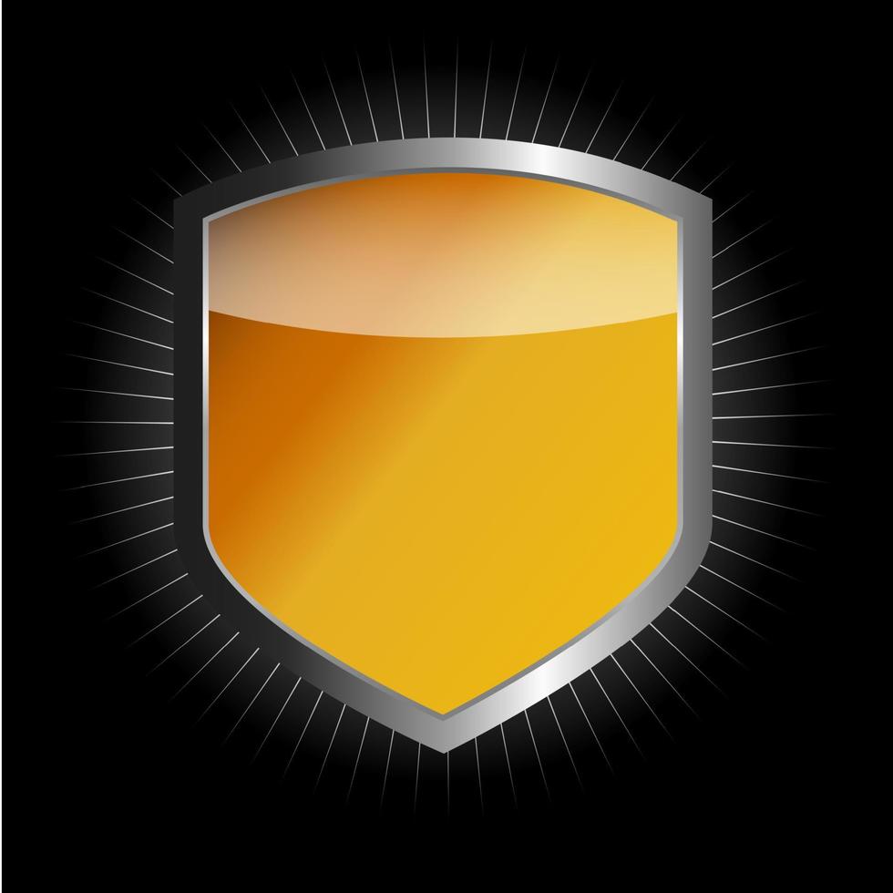 Protect shield vector illustration