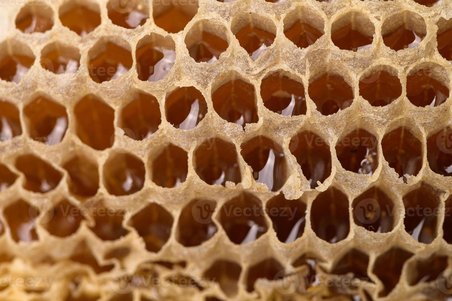 A close up of a honeycomb with honey photo