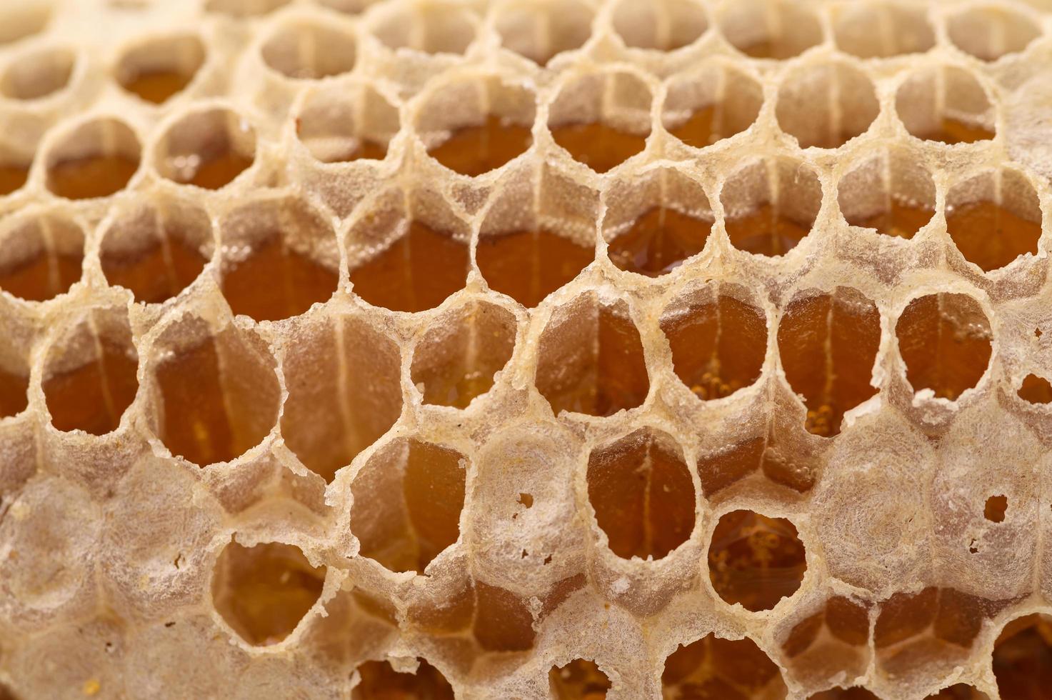 naturaleza de miel de panal macro foto