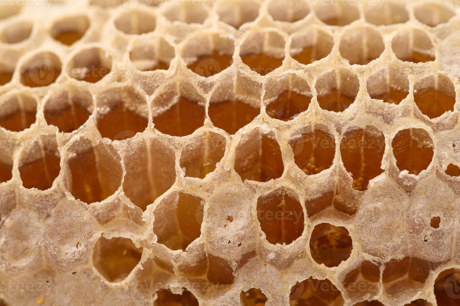 A close up of a honeycomb with honey photo