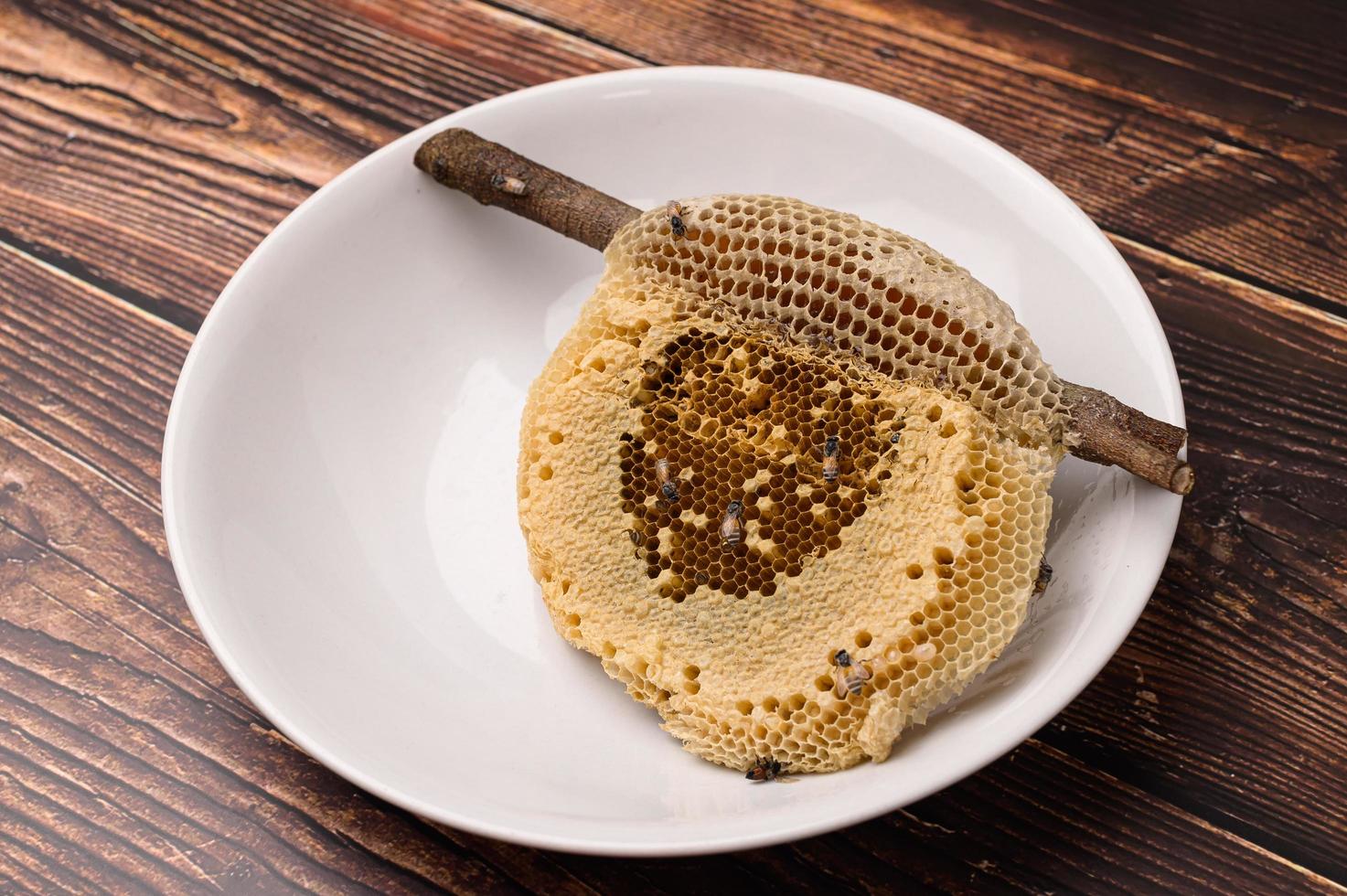 macro bee and honeycomb nature photo