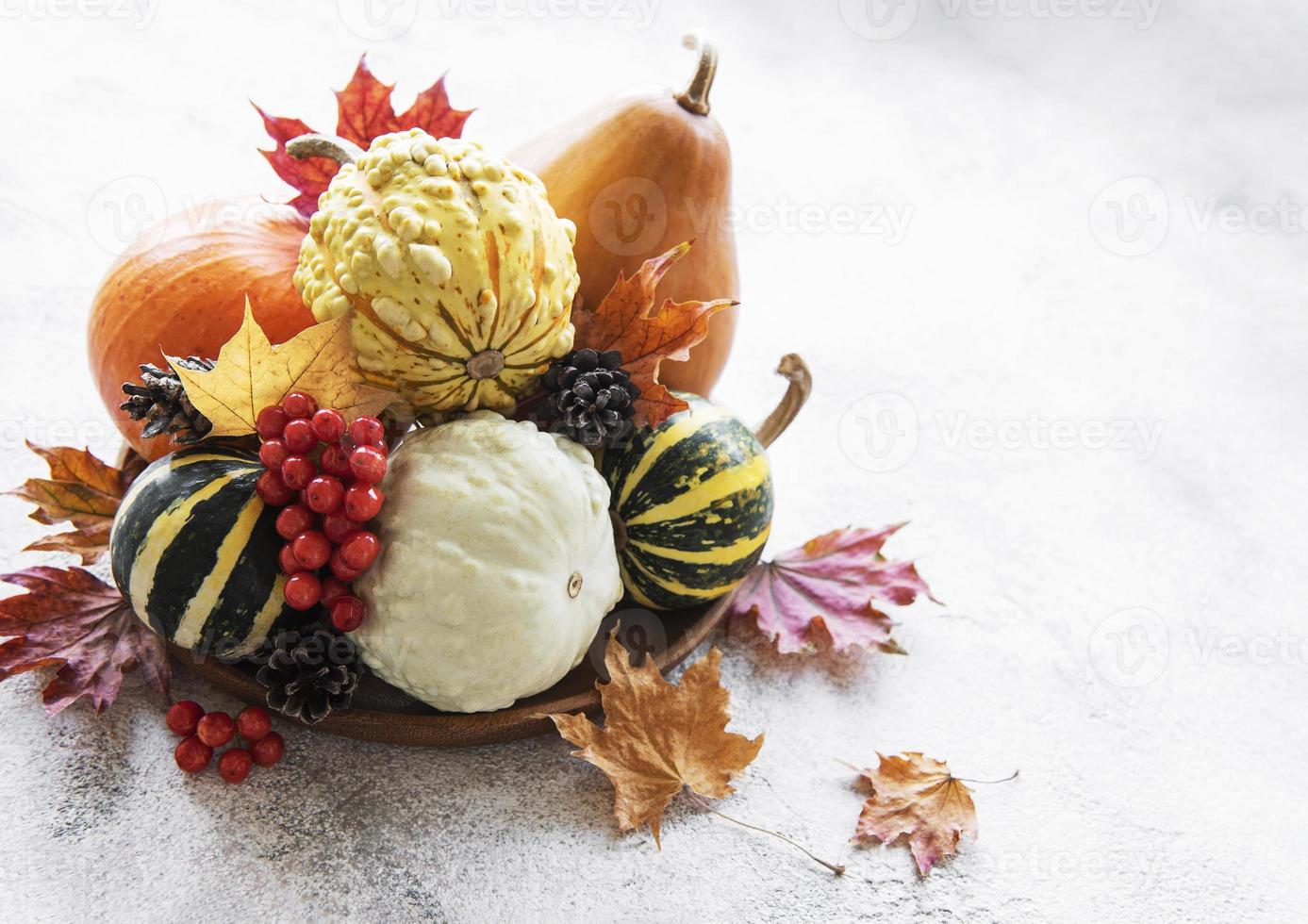 Autumn composition with assorted pumpkins photo