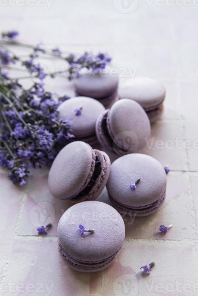 macarons franceses con sabor a lavanda y flores frescas de lavanda foto