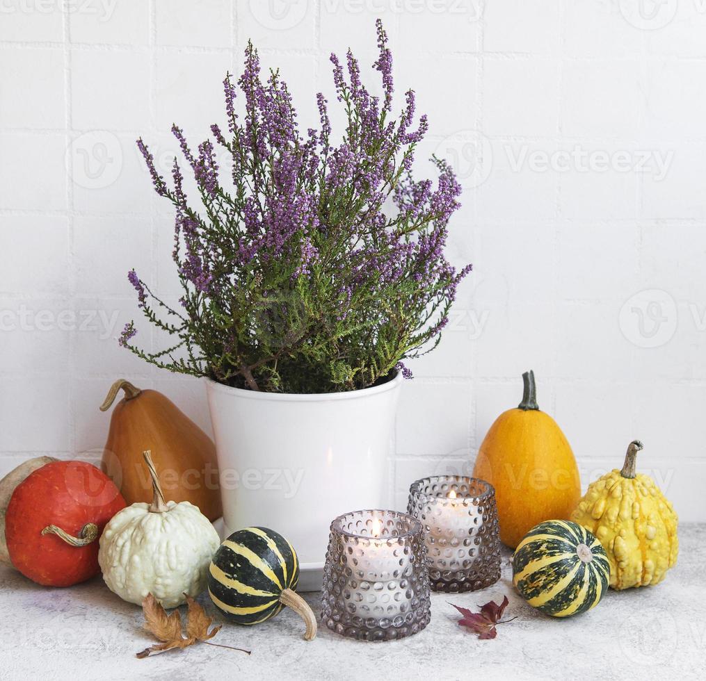 Creative autumn fall thanksgiving day composition with decorative orange pumpkins photo