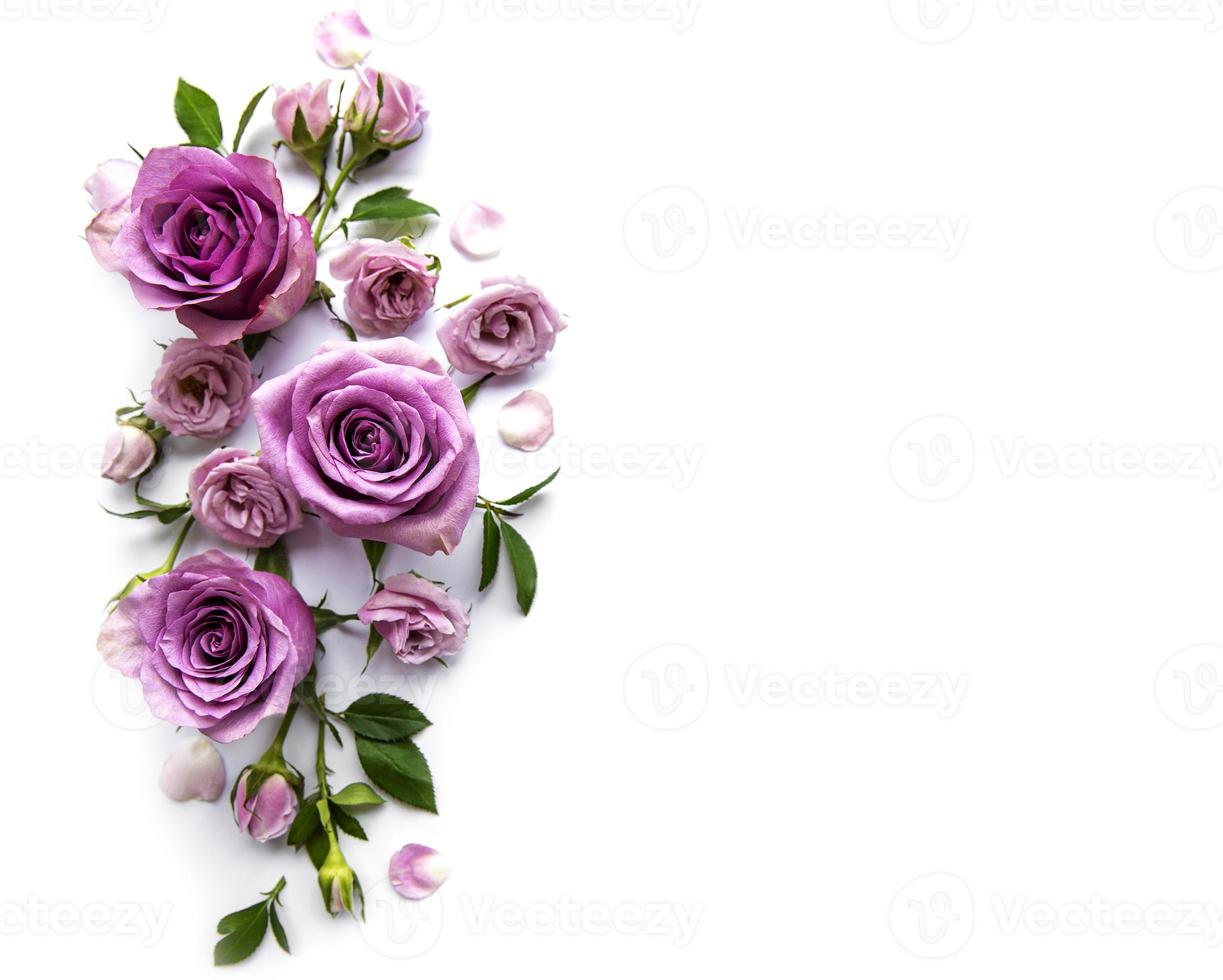 Framework from roses on white background. photo