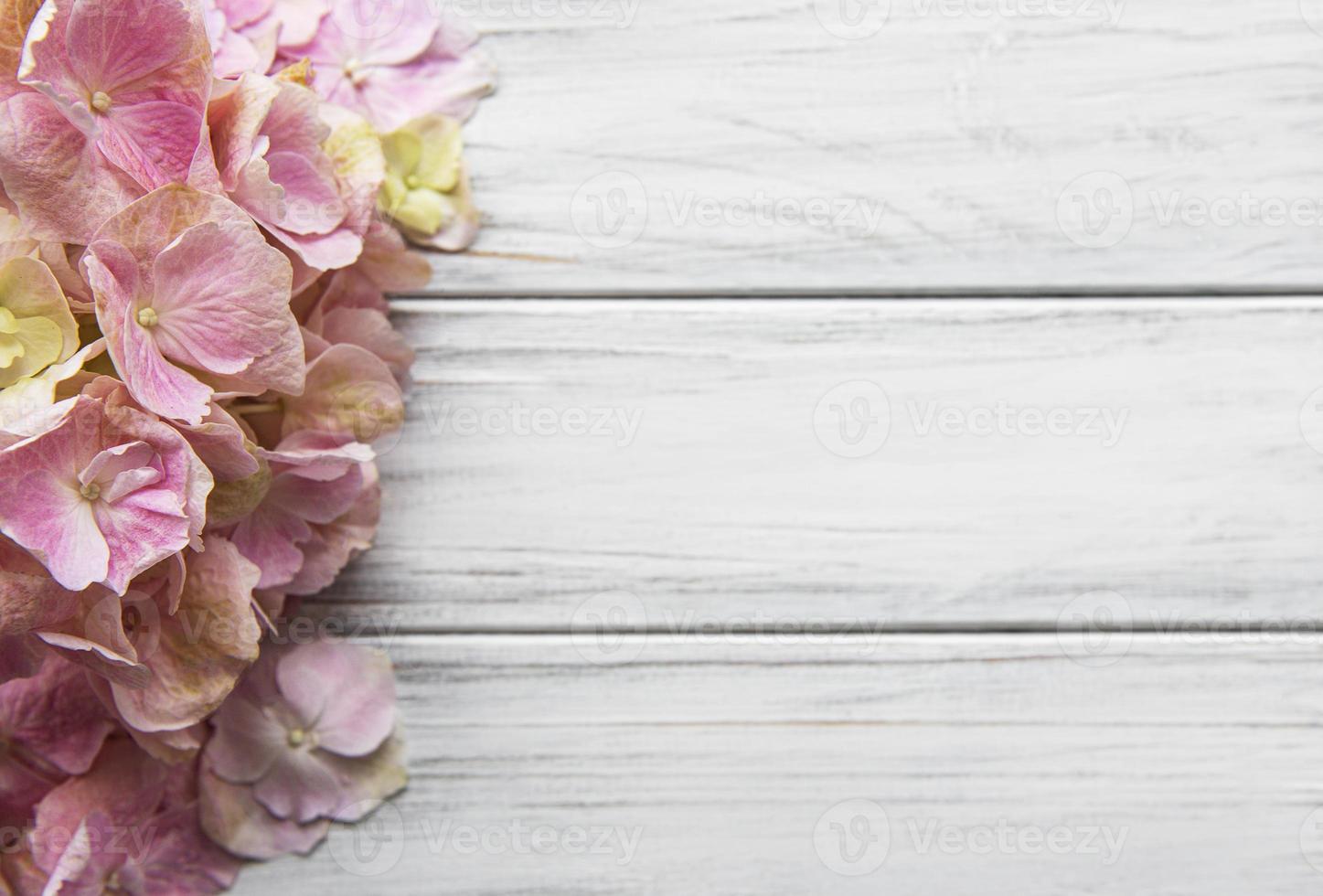 Pink hydrangea flowers on white wooden background photo