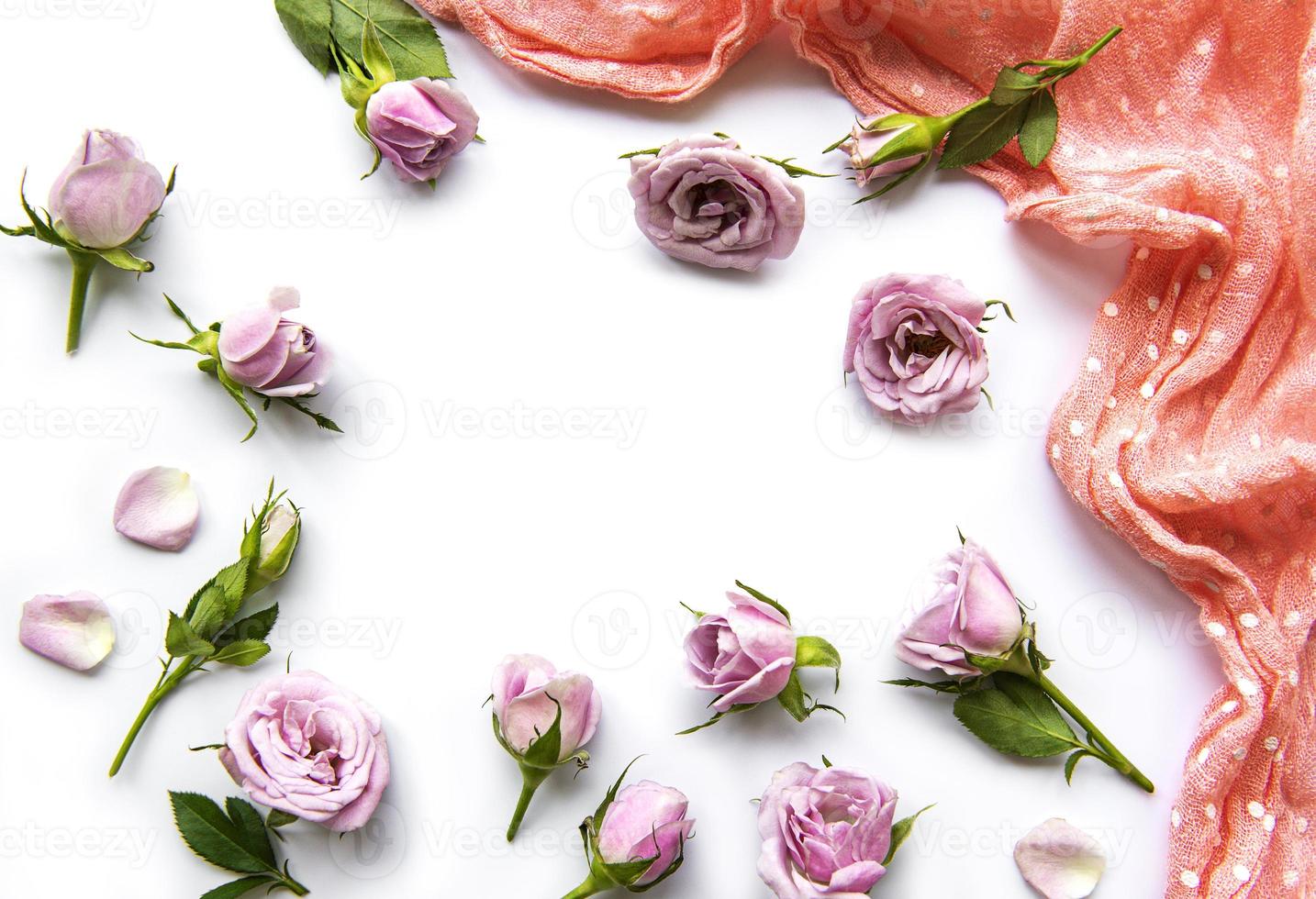 marco de rosas sobre fondo blanco. foto