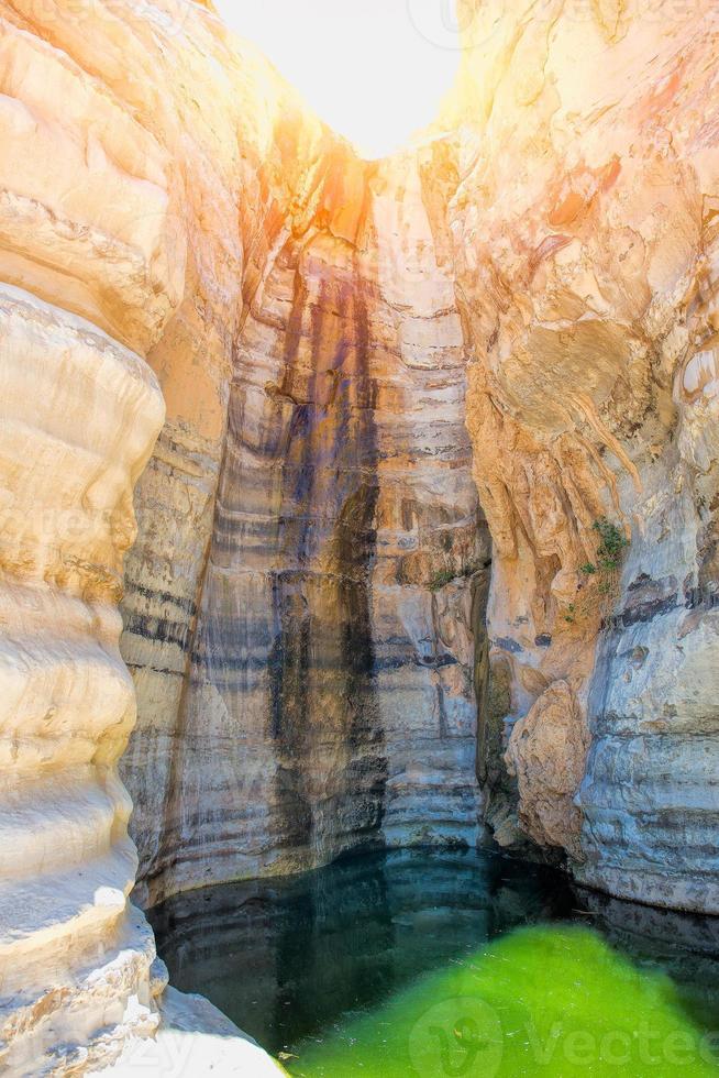 oasis con sargento y lata de agua en el desierto de negev foto