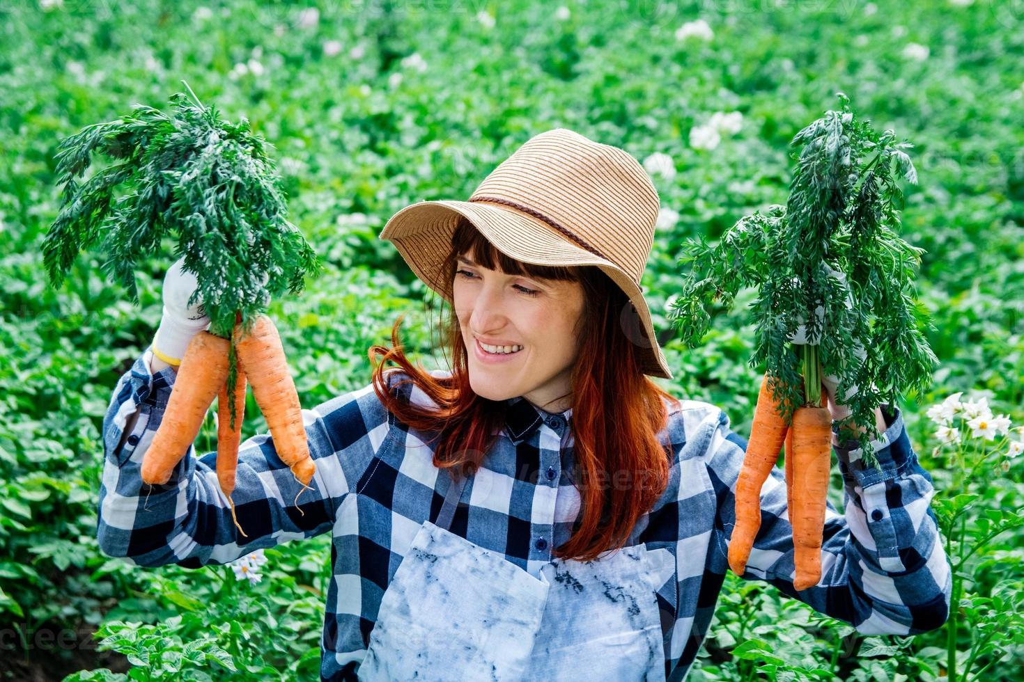 La agricultora tiene un montón de zanahorias en el huerto de fondo foto