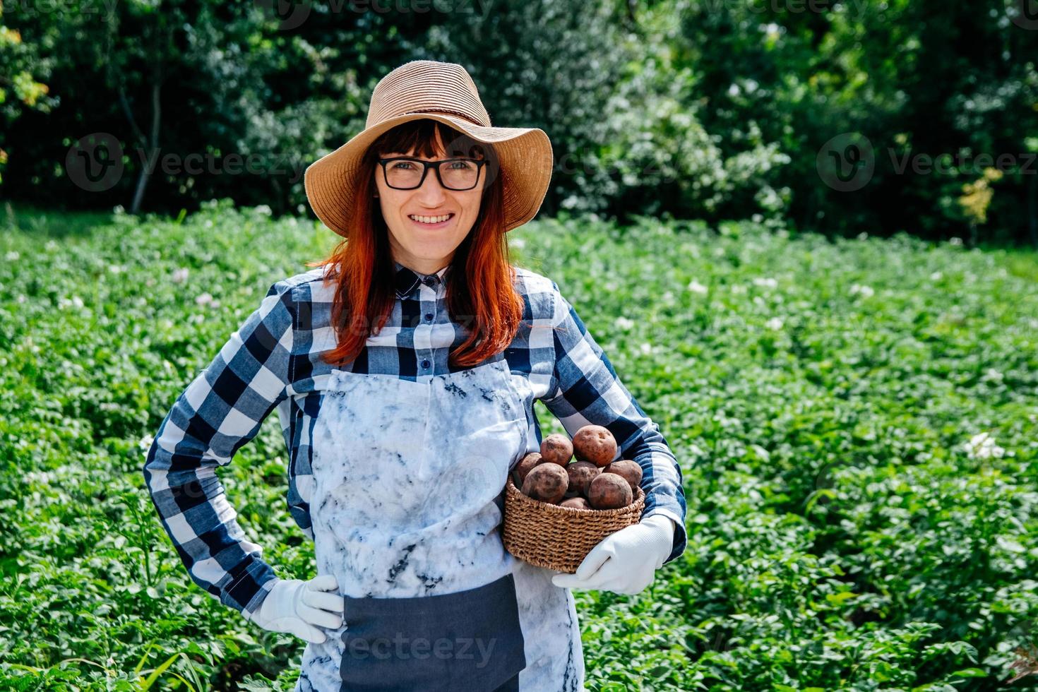 La agricultora sostiene papas en una canasta de mimbre con un sombrero de paja y rodeada de muchas plantas en su huerto foto