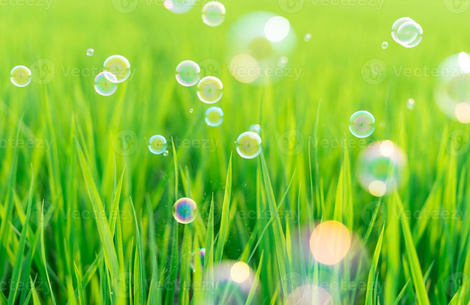 Suculenta y exuberante hierba verde en la pradera con pompas de jabón foto