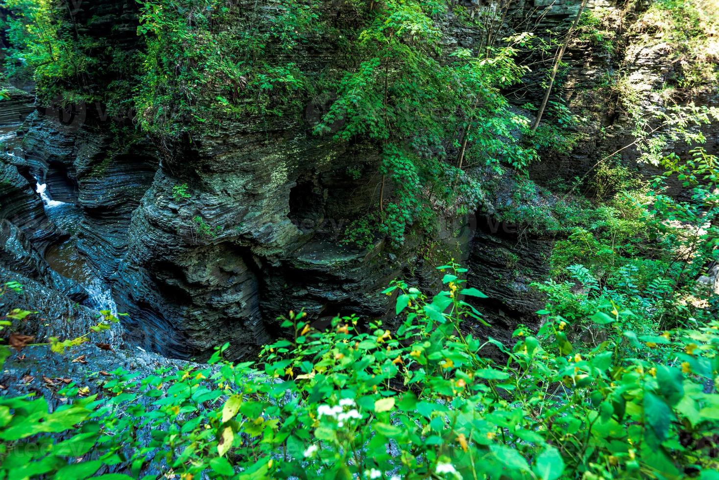 parque estatal watkins glen foto