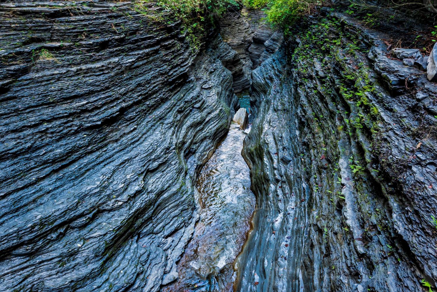 parque estatal watkins glen foto